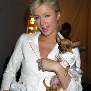 paris_hilton