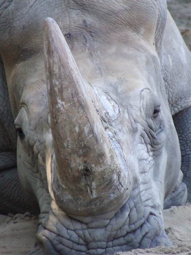 DSCF4702 DSCF4702