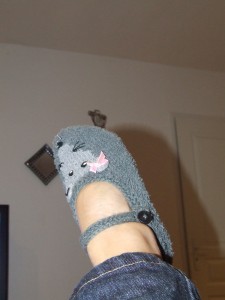 souris
