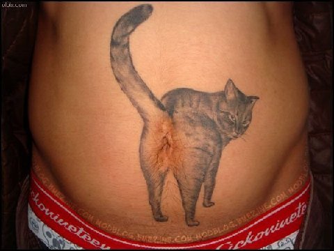 Tatouage nombril ventre chat
