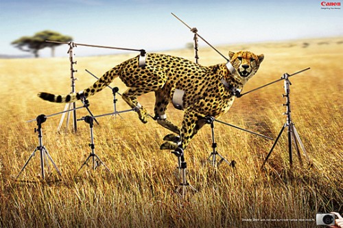Pub Canon stabilisateur