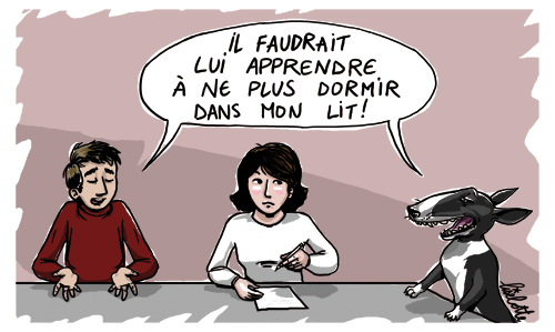 Résultat de recherche d'images pour "bull terrier attaque"