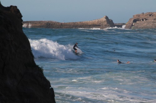 Surfeur
