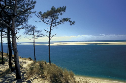 Banc d'Arguin