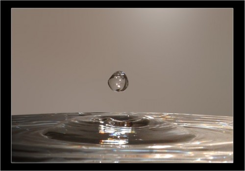 goutte