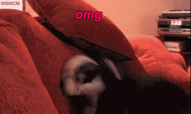 tumblr_inline_mhwqrmZYIQ1qz4rgp