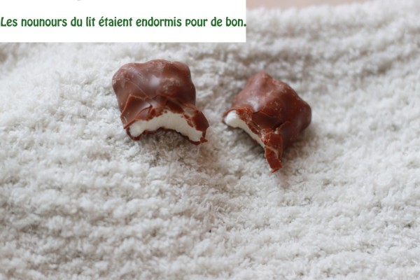 Nounours 7